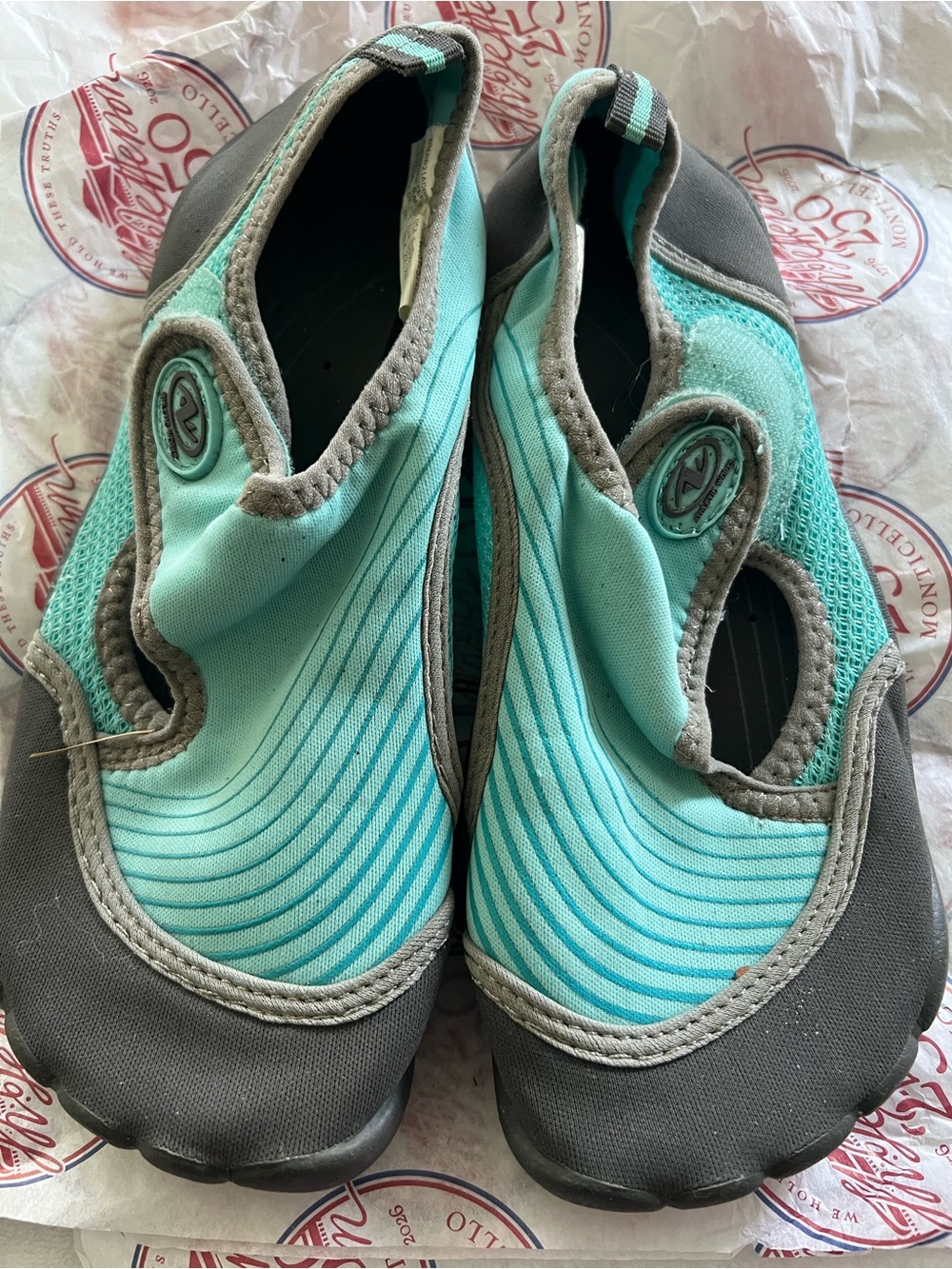Aqua and Gray Water Shoes